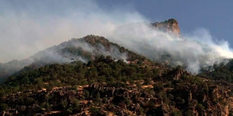 7opFPGi3iKRMtwKUKoCOFmupyt82S9FoVvv2QjJt