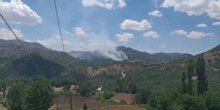 823x463cc dyb 07 09 2021 lice yangin bayirli1