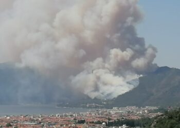 marmaris orman yangini