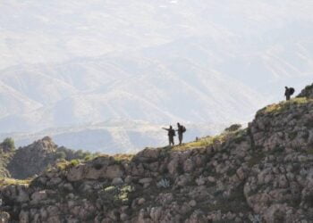 photo 700X350 1799