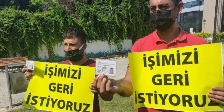 20db815f 8e99 4705 9c14 21953a5b55a8