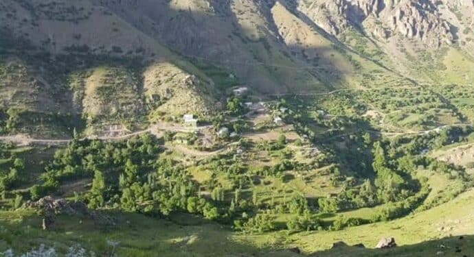 690x390cc hkr 14 07 2021 cobanlara iskence