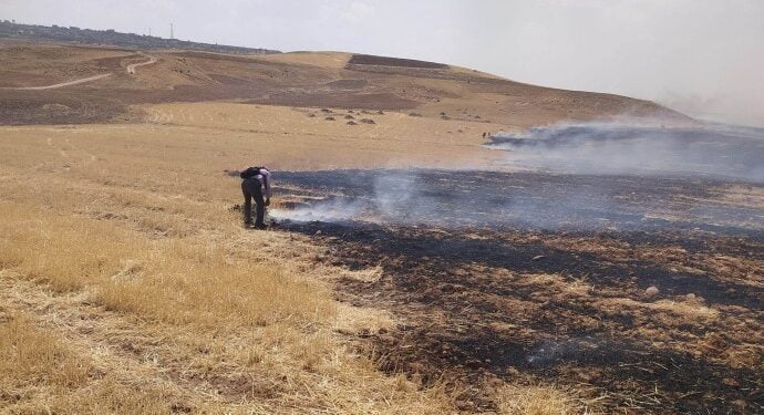 690x390cc srnk 15 07 2021 bafe yalaz yangin