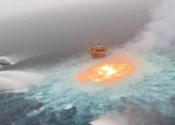 971wfGLvpmHzHe3oxdwW5UB4QLM1jCVJiSzB6ako