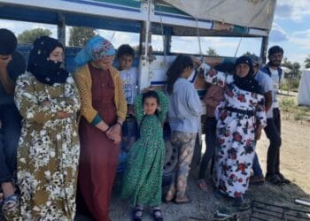 9oJJL0dPP3YdMF765RZialrw4mNAV4qBjeK260DE