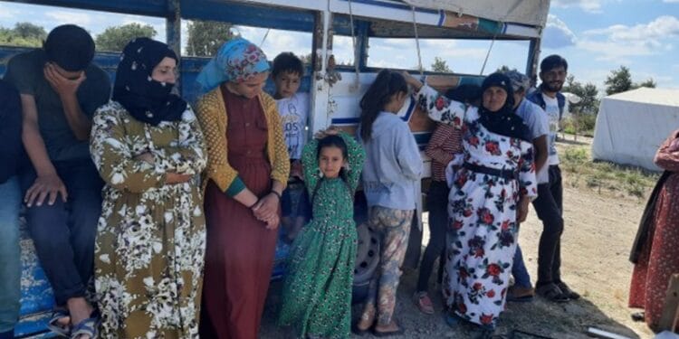 9oJJL0dPP3YdMF765RZialrw4mNAV4qBjeK260DE