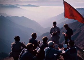 images 2 e1627755062288