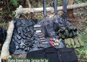 r cgDvwP.jpg small 2