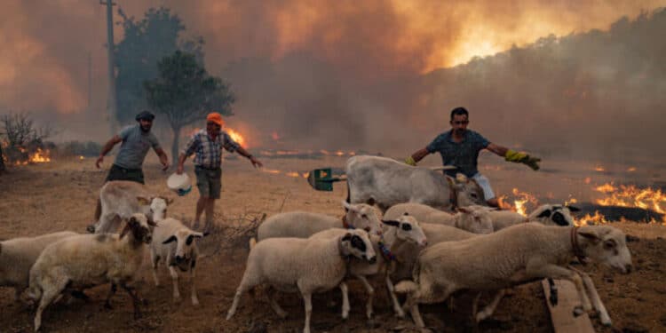 20210804 b60ea6a 539851727 000 9je6mt jpg2b761d image