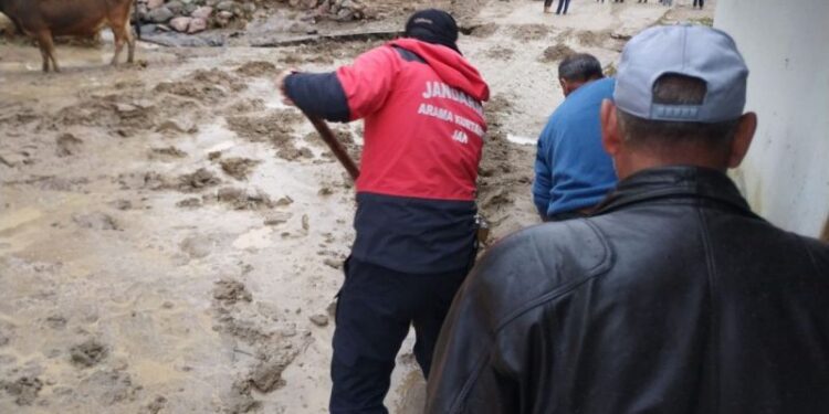 62782368 1628968963 1628969033