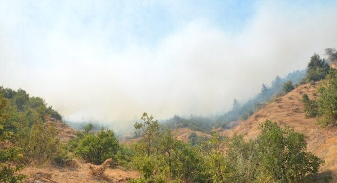 690x390cc btls 31 08 2021 orman yangini iddetli6