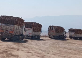 690x390cc srnk 26 08 2021 celenimeja bi tonan dar birin7