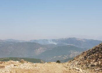 PHOTO 2021 08 25 10 59 32 2 e1629878751850