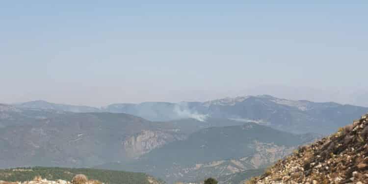 PHOTO 2021 08 25 10 59 32 2 e1629878751850