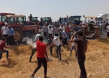 ciftci YRSl cover.jpg