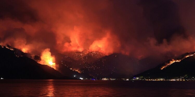 orman yangini 3 1280x720 1