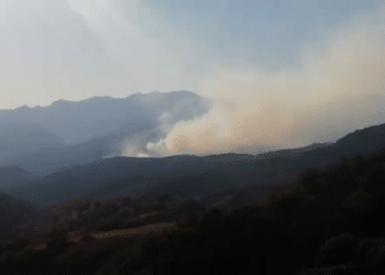 orman yangini 4 gundur devam ediyor hozat dersim