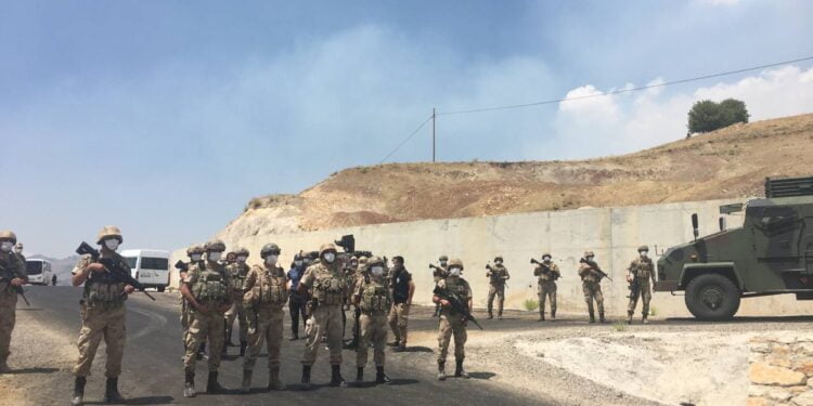 photo5778192225874851520