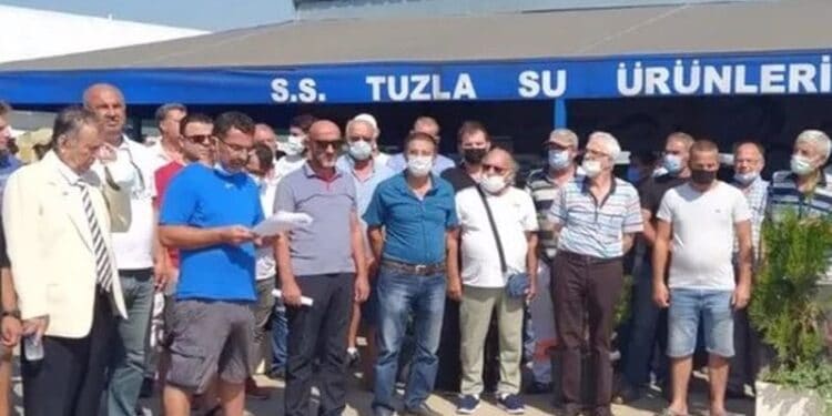 uSXGHWeFLpul7gpkovm3LQ8BSLfdaQvEbWuUOkSA