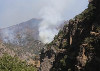 690x390cc drsm 03 09 2021 roj deresi yangin