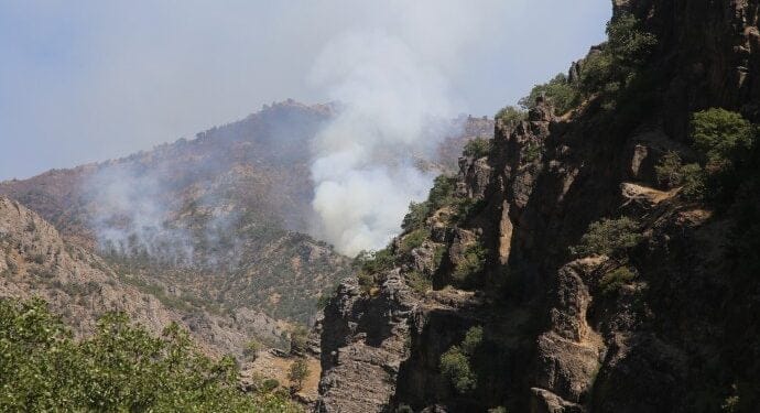 690x390cc drsm 03 09 2021 roj deresi yangin