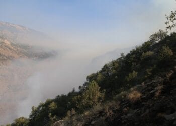 690x390cc drsm 05 09 2021 munzur vadisi firtina vadisi yangin