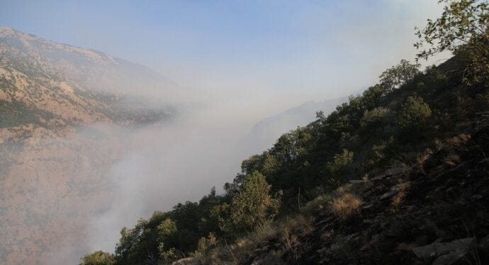 690x390cc drsm 05 09 2021 munzur vadisi firtina vadisi yangin