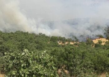 690x390cc dyb 10 09 2021 dicle yangin