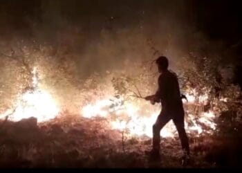 690x390cc dyb 14 09 2021 lice yangin sonduruldu2