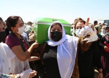 DsKYWEfkUP6MClkKF9ZmNdGulqY8z3YaEGV0M4lL