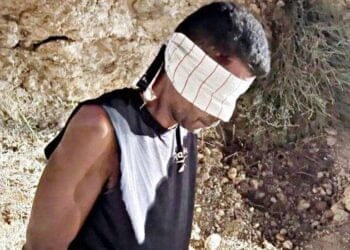 d7e4ecd812b12584b15a12056cfb2095