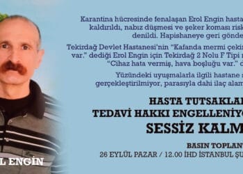 erol engin2 Calisma Yuzeyi 1