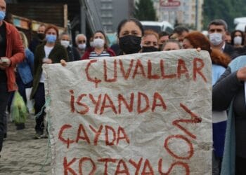 2VOr2dfVkHJjpJwNLRt0nn8DQOPsNXsba5X5rWdC