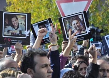 C4F8BA6B 796F 465A 8247 3038D7DDC49E 26956393