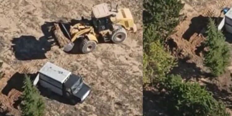 TbvhGfkd3UtZ4ZvlkA30Xx9MewEzxps9vIyIsfdS