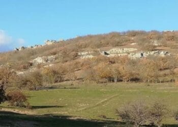 kirklareli nde kalker ocagi icin 20 bine yakin agac kesilecek 936024 5