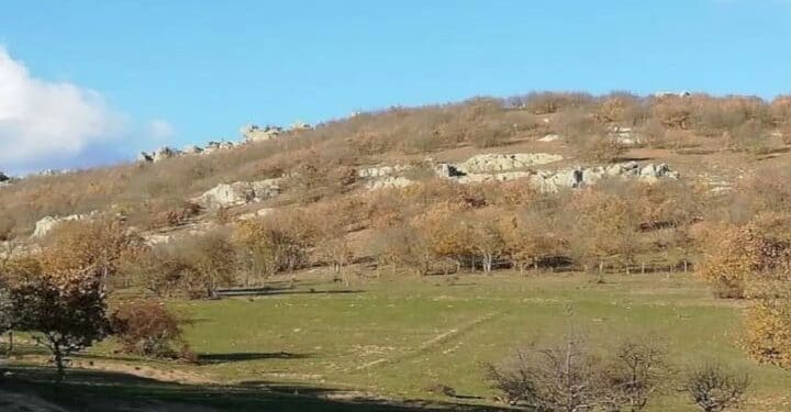 kirklareli nde kalker ocagi icin 20 bine yakin agac kesilecek 936024 5