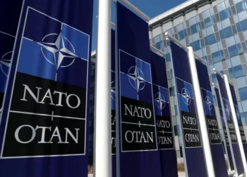 natogenelmerkez Bo2D cover.jpg