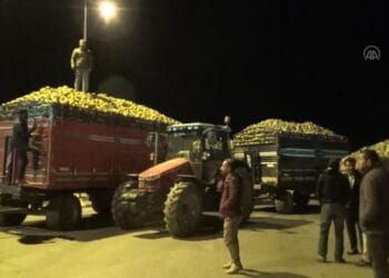 seker pancari ureticileri alim islemlerinin y 4 14446648 o