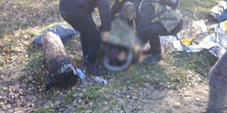 uMBi53Njqu0OBNtgZj1wTgWs2MOCm2SkUfs9ZPpJ