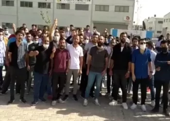 yilmazlar terlik eylem zaEm cover.jpg