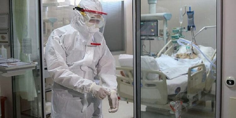 1042816459 1 0 1000 562 1920x0 80 0 0 05c21e19570fafe561f952ebeaa4ab7a