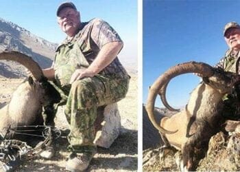 1050381176 5 0 716 400 1920x0 80 0 0 beaf4d85a40fba73b9fdd47f2aa14e15