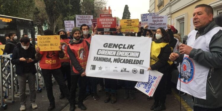 photo 2021 11 19 11.44.08