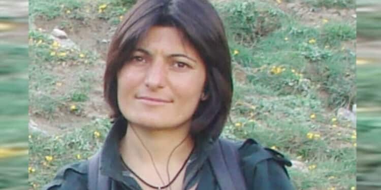 20211227 20211113 photo 700x350 17091 jpg6846f0 image jpga7cd73 image 2