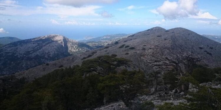 823x463cc kartal dagi platformu manset