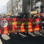 IMG 4631