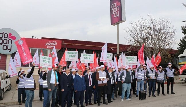 WhatsApp Image 2021 12 13 at 13.53.38