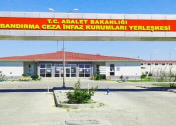 bandirma 736