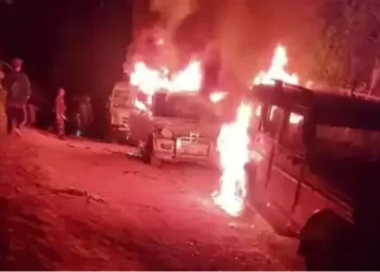 hindistan f0Uu cover.jpg 2